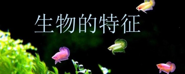 生物的特征是什么 生物的特征有哪些