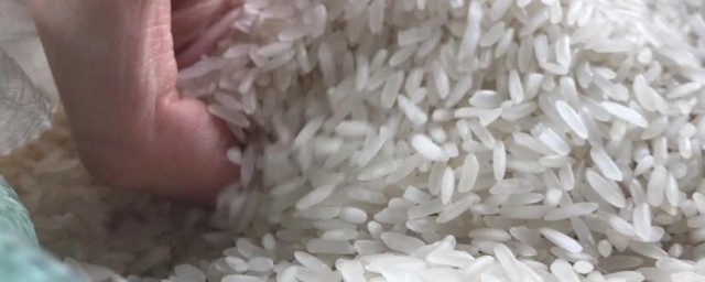 大米生了米虫怎样办还可以吃吗 大米生了米虫怎样办还能不能吃