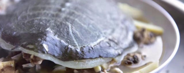 甲鱼一般蒸多少时间 甲鱼煮多久才可以吃