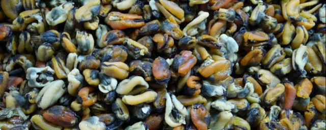 淡菜干怎样洗 淡菜干洗法
