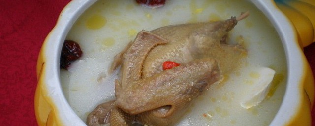 乳鸽做菜怎么做 乳鸽的烹饪方式