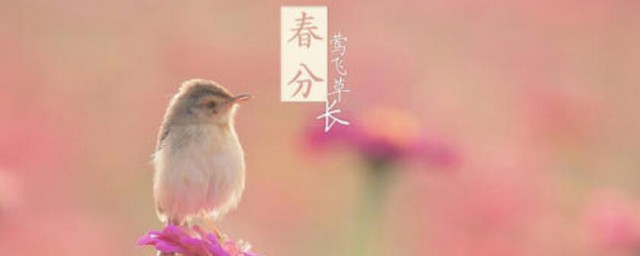 春分节气结婚好吗 春分节气结婚好不好
