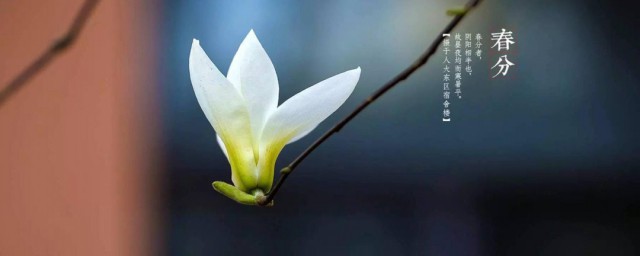 二十四节气春分的由来 二十四节气春分的由来介绍