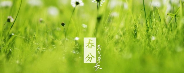 春分节气的特点和风俗 关于春分节气的特点和风俗