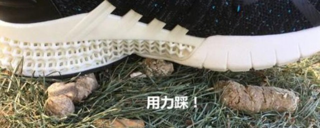 踩到狗屎怎样洗鞋子 踩到狗屎怎样洗鞋子