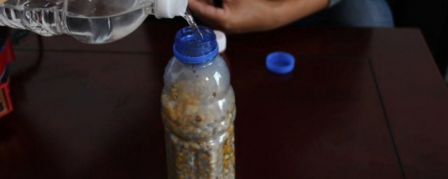 酒泡玉米饵的技巧 酒泡玉米饵制作次序