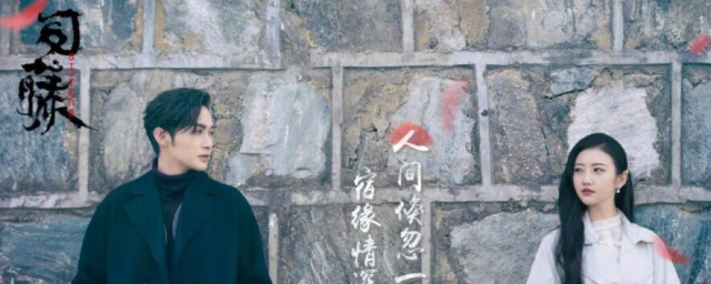 半妖司藤讲的什么故事 半妖司藤剧情介绍