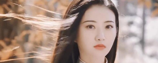司藤说的是什么故事 司藤简介