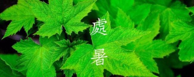 处暑是伏天最后一天吗2021 处暑简介