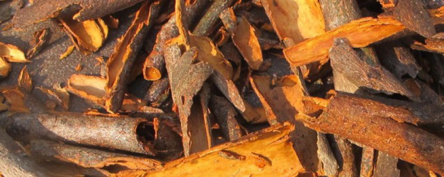 桂皮功效和作用及食用技巧 桂皮功效简介