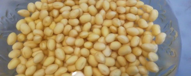 黄豆芽苗的种植技巧 黄豆芽苗怎样种植