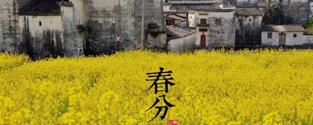 春分是春社嘛 春分介绍