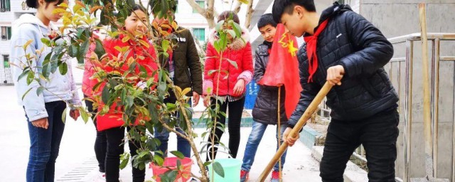 植树节通过什么形式精确的 植树节通过怎样形式精确的