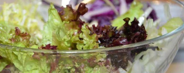 菀豆粉凉拌沙拉酱 菀豆粉凉拌沙拉酱的制作技巧