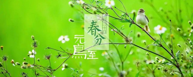 春分可以干什么 春分能做什么呢