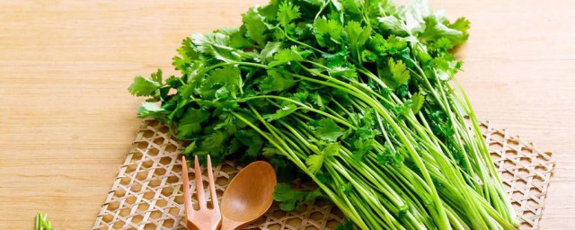香菜怎样养 香菜的养护技巧