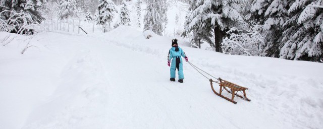 滑雪双板怎么拐弯 滑雪双板怎么拐弯