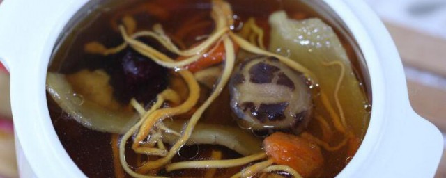 沙参冬虫草炖龟肉 沙参冬虫草炖龟肉的做法