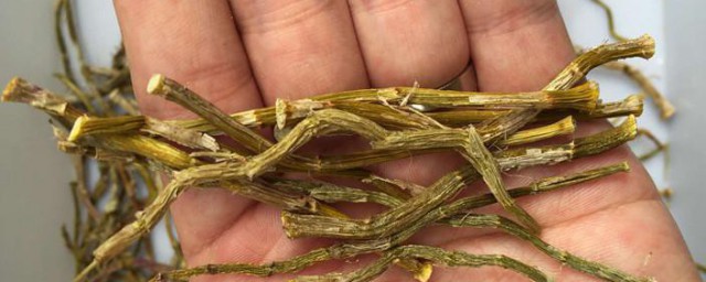 干的铁皮石斛怎样挑选 干铁皮石斛挑选诀窍