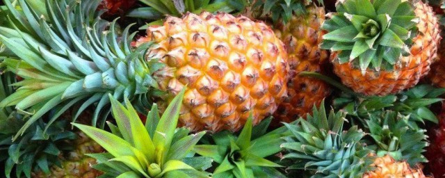 怎样样挑选菠萝 挑选菠萝的技巧简介
