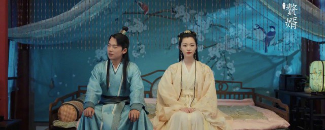 苏文兴是什么电视剧 赘婿的主演都有谁