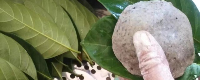 湛江树叶饼做法和配方 湛江树叶饼怎样做?