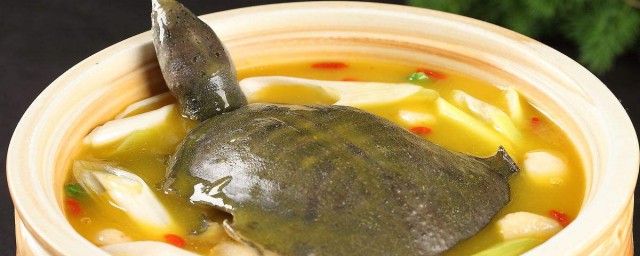 甲鱼炖汤怎样做好吃 甲鱼炖汤怎样做好吃