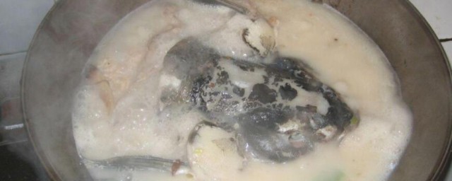 青鱼头如何做汤 青鱼头汤的做法