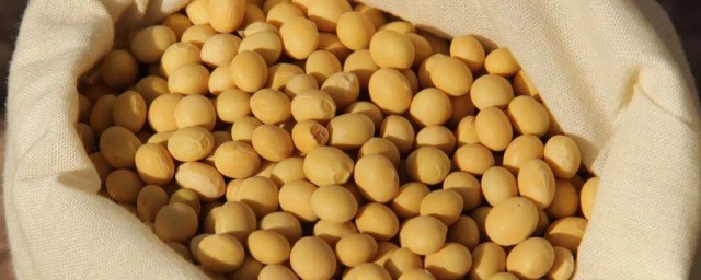 大豆渣怎样做肥料 豆腐渣怎样快速做肥料