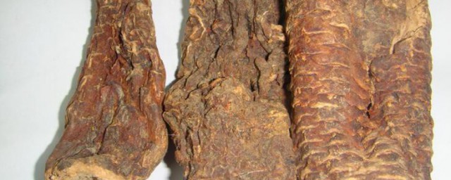 怎样挑选肉苁蓉 肉苁蓉怎样挑选