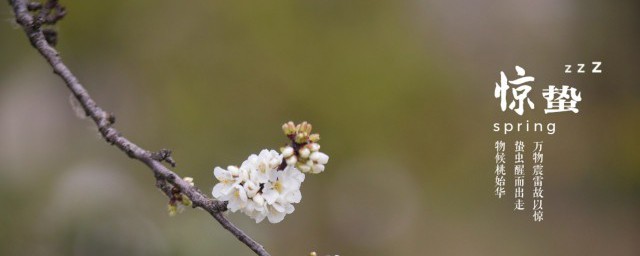 二十四节气里惊蛰的蛰是什么意思 怎么理解二十四节气里惊蛰的蛰的意思