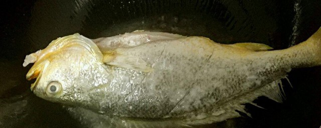 柱侯酱炖黄鱼的做法 怎样制作柱侯酱炖黄鱼