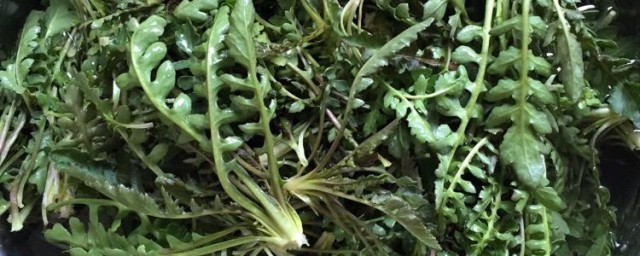 三稔煲荠菜 怎样做三稔煲荠菜