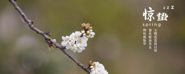 惊蛰节气的特点和风俗是什么 惊蛰气温会快速变暖吗