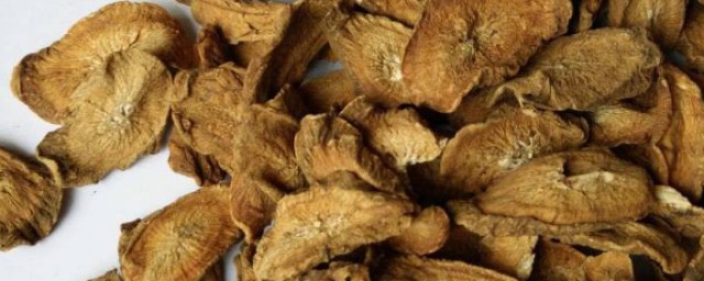 牛蒡茶怎么挑选 牛蒡茶挑选方法介绍