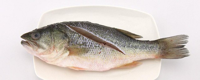 鲈鱼豆腐羹 鲈鱼豆腐羹的做法
