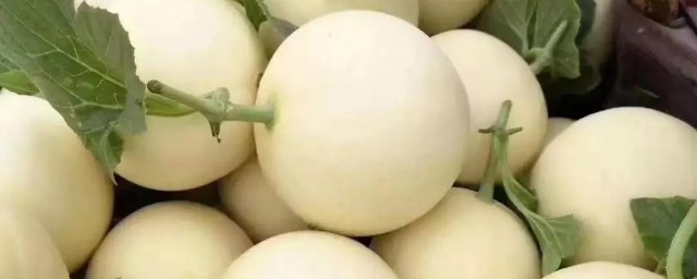 怎样挑选白香瓜 怎样挑选白香瓜