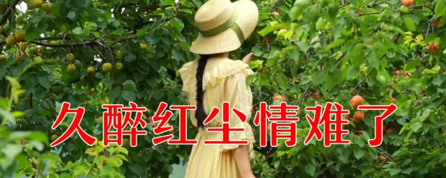 沉沦苦海欲断魂久醉红尘情难了什么意思 沉沦苦海欲断魂久醉红尘情难了意思介绍