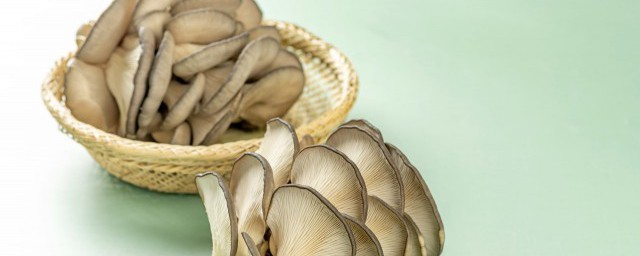 蘑菇放了几天可以吃吗 蘑菇的简单介绍