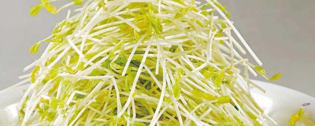 绿豆芽怎么挑选 挑选绿豆芽的方法
