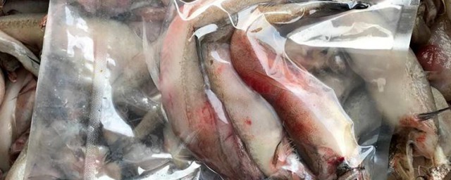 海鱼发快递怎样保鲜 冷冻海鱼怎样长途运输