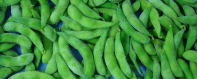 毛豆冷冻生冻还是熟冻 毛豆怎样保存