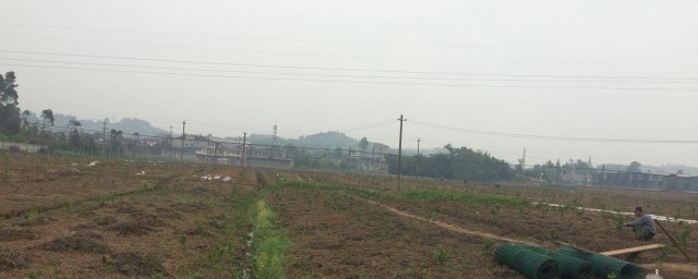 农村实用的灌溉技巧 农村实用的灌溉怎样做呢