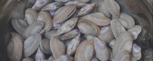 新鲜花甲螺如何保鲜 保鲜花甲螺的步骤