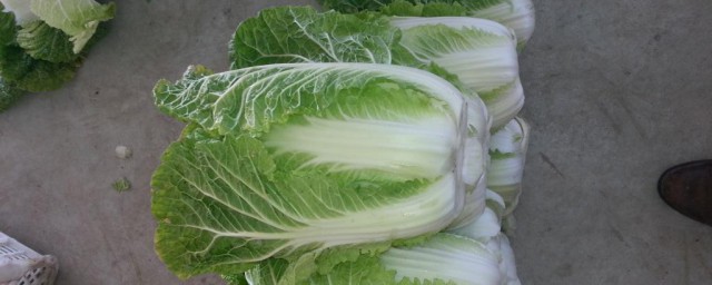 白菜怎样保鲜最好 怎样保鲜白菜最好