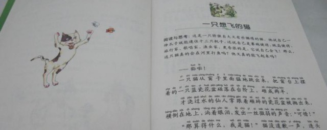 一只想飞的猫作者是谁 一只想飞的猫作者简介