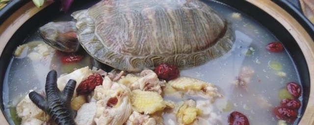 全龟炖鸡 全龟炖鸡的做法与次序