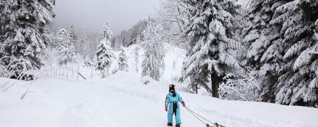 滑雪倒滑刹车方式 滑雪刹车的3个办法