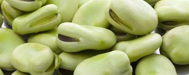 蚕豆炒西芹 如何做蚕豆炒西芹