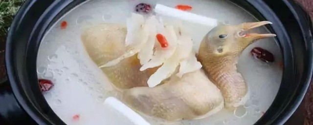 莲藕枸杞煲乳鸽汤 莲藕枸杞煲乳鸽汤怎样做